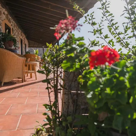 Rural Huerto Viejo 컨트리하우스 Tesejerague